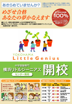 新聞折込チラシ