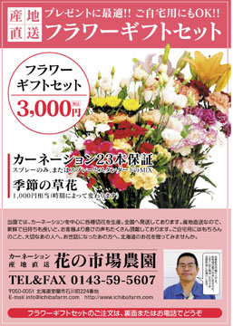 チラシ